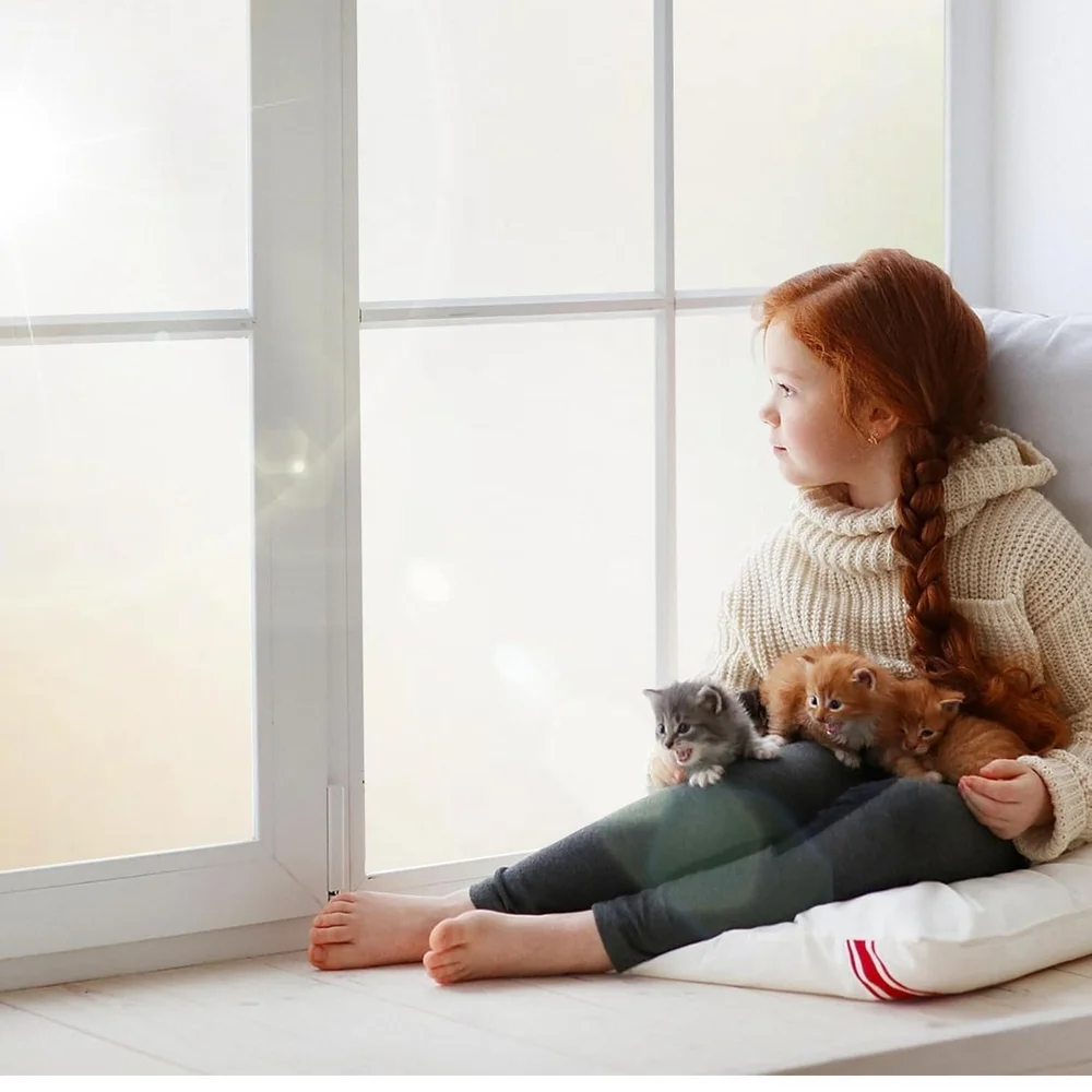 17.5x78.7 Inch White Frosted Glass Window Film (32)